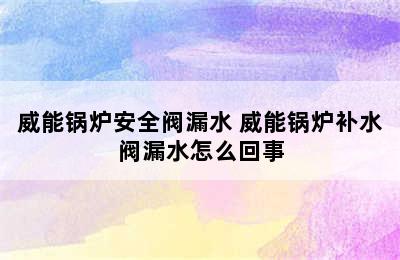 威能锅炉安全阀漏水 威能锅炉补水阀漏水怎么回事